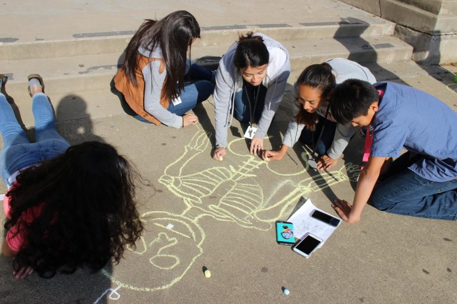 The Principles of Health Science students draw skeleton on the front pavement of the school.