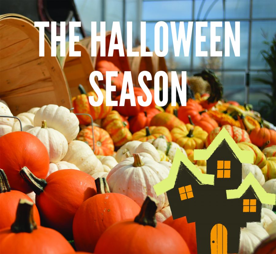 Halloween activities that are a must this year