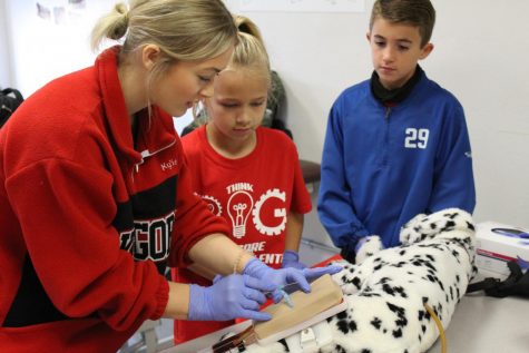 Junior Kylie Offerding helps two LEAP students learn about veterinary sciences. 
