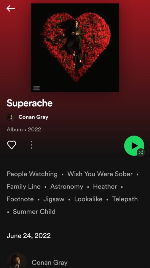 Superache screenshot from Spotify