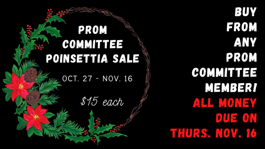 Prom committee selling poinsettias. 