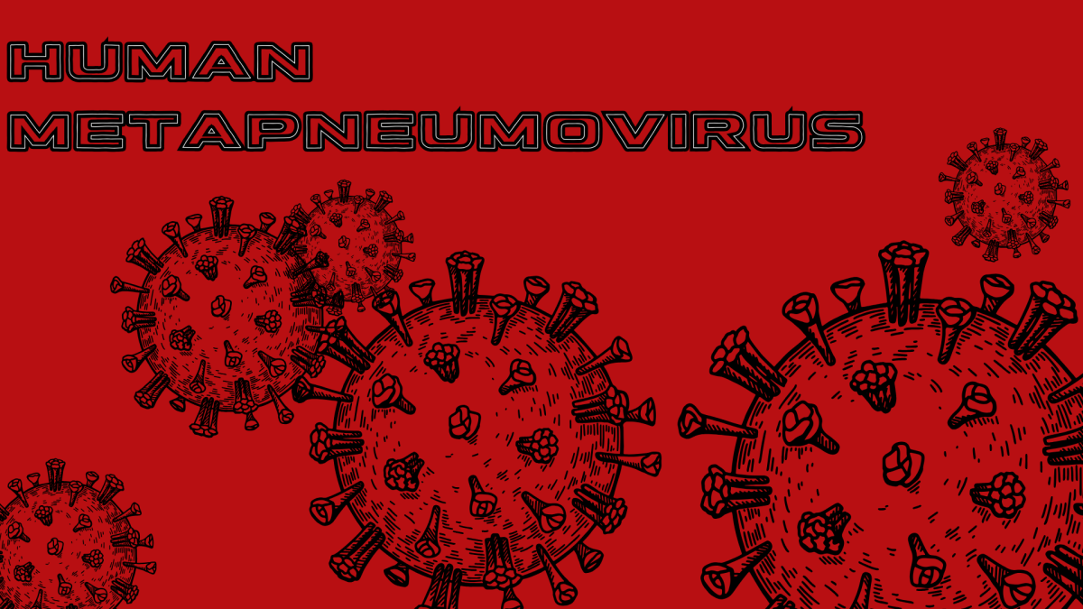 2025 Human Metapneumovirus Outbreak