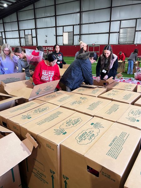 The Prom Committee deliver poinsettias to help fund for prom this year.